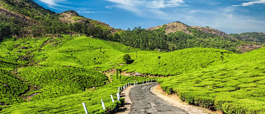 munnar tour