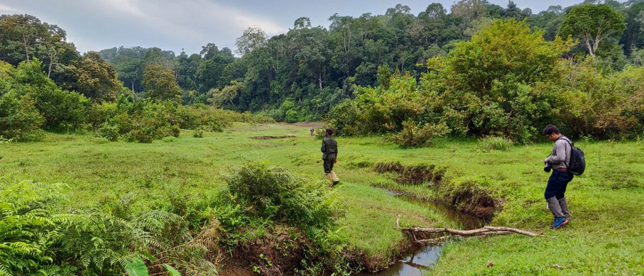 periyar glimpses view