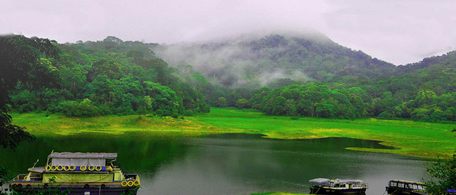 thekkady tour