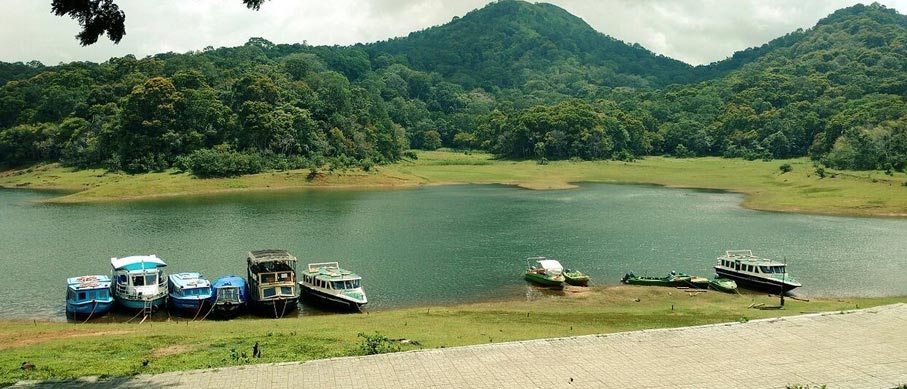 thekkady tour